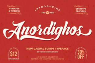 Anordighos: The Font That Elevates Your Brand