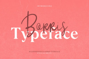 Borris: A Display Font for Authentic Handcrafted Design