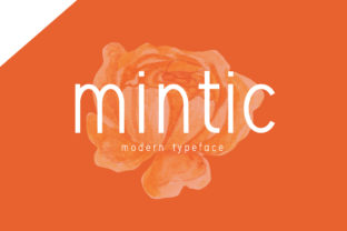 Mintic Display Font for Web Design and Branding