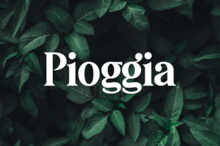 Pioggia: A Font That Brings Playfulness to Branding