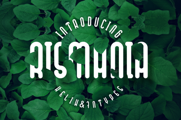 Rismania: The Display Font That Elevates Your Brand’s Visual Story