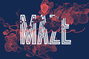 Sansterdam Maze: The Font That Elevates Your Brand